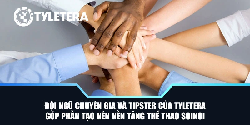 Đội ngũ chuyên gia và tipster của Tyletera góp phần tạo nên nền tảng thể thao SoiNoi