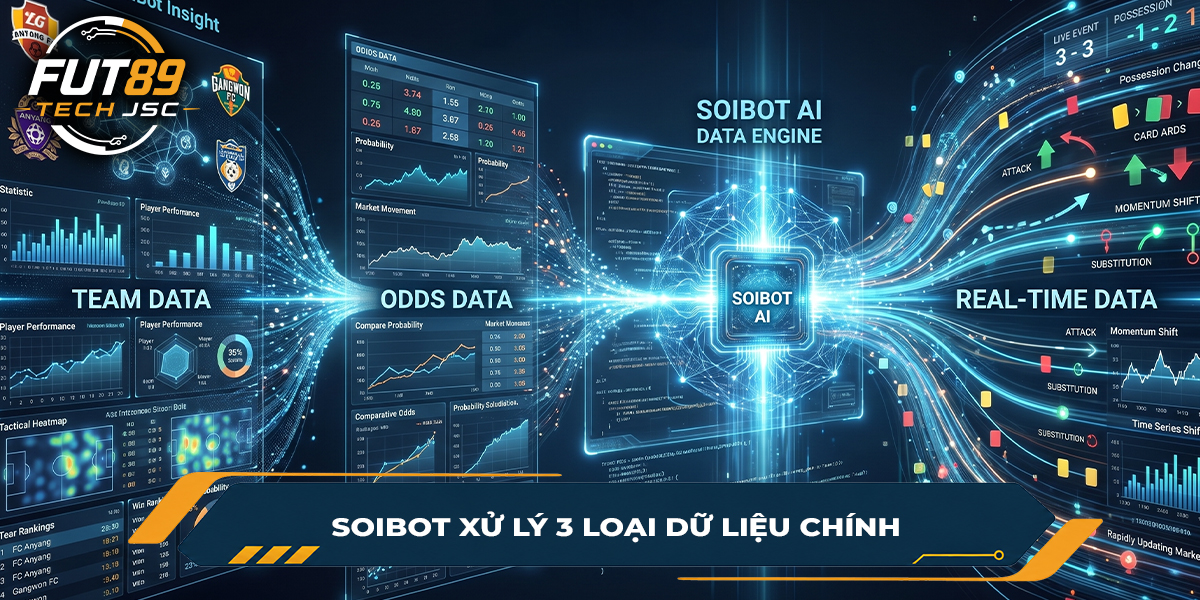 SoiBot xử lý 3 loại dữ liệu chính